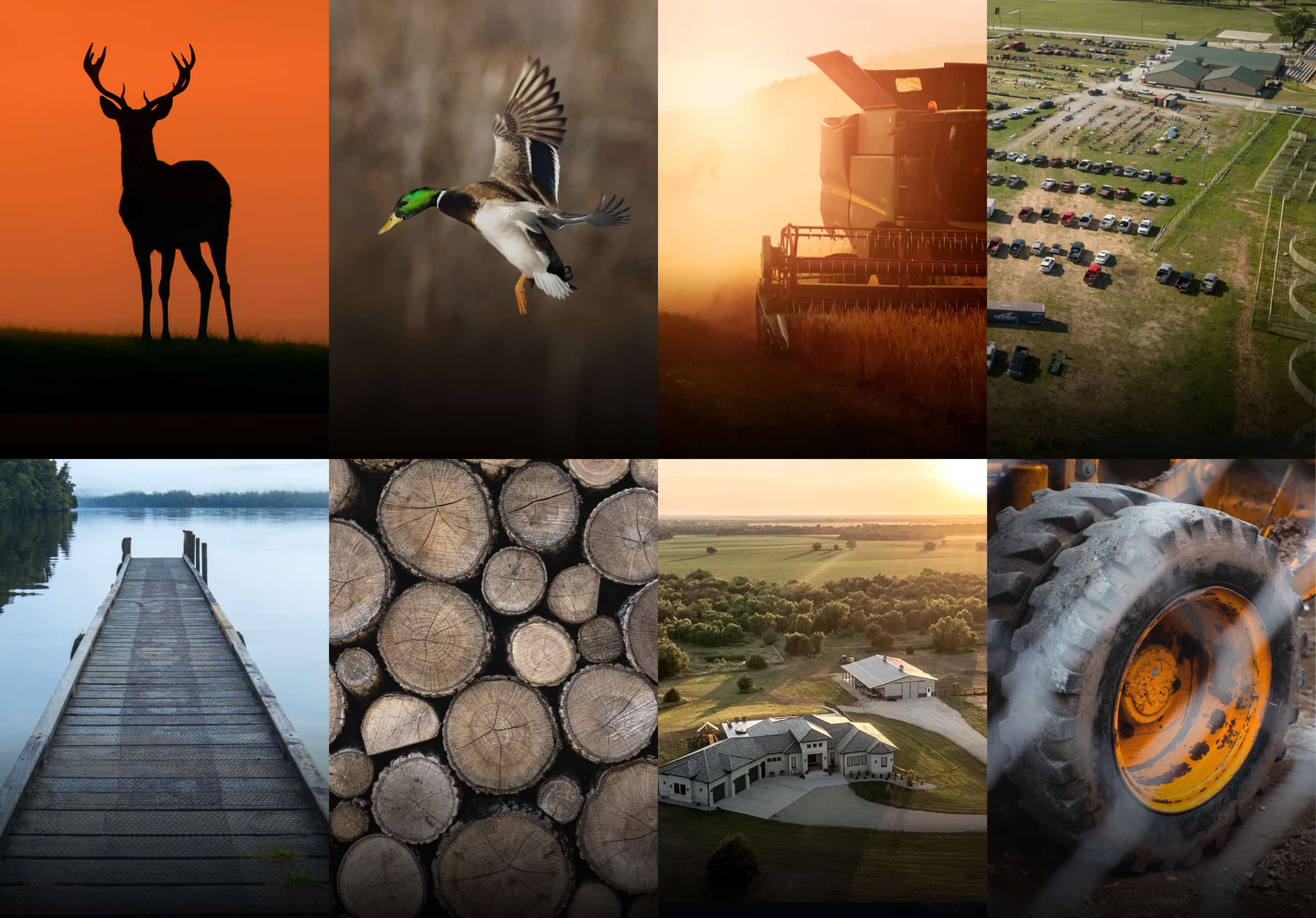 Whitetail Desktop Homepage - Landtype Card
