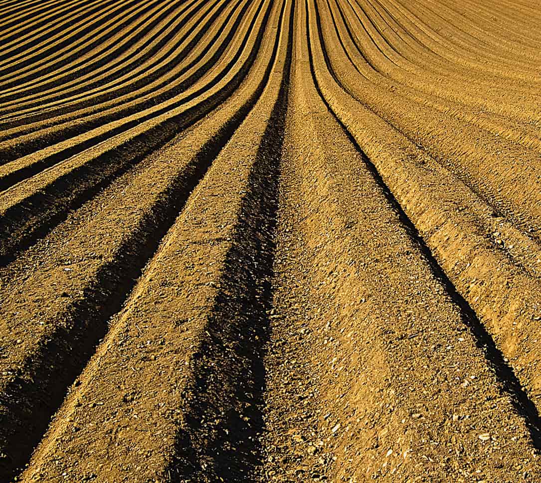 Photogrid - rows