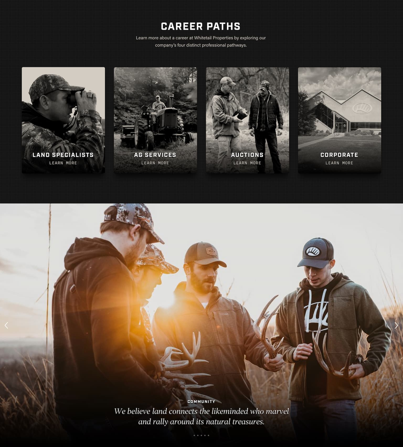 WP Pages - Careers Page Section 2